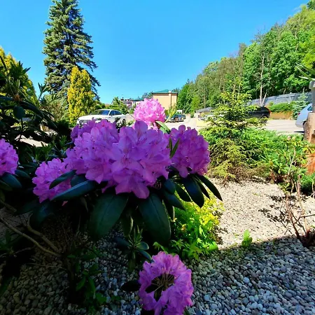 Mazuria Country & فندق مارونجوفو